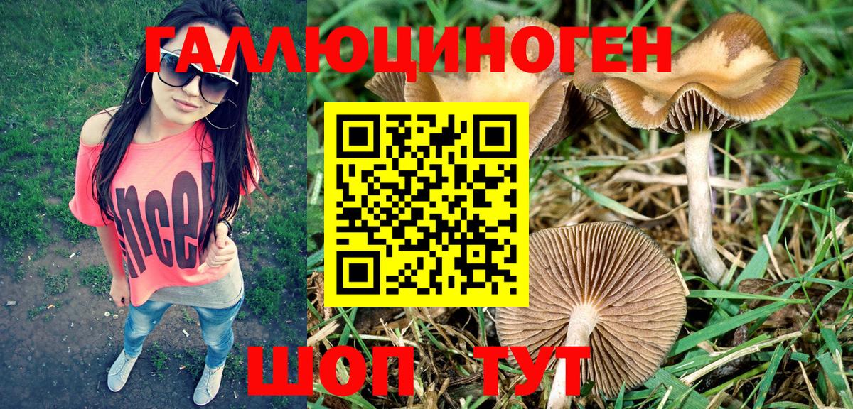 хочу наркоту  Псилоцибиновые грибы Psilocybe  Вход с VPN  Глазов  Галлюциногенные грибы Cubensis 